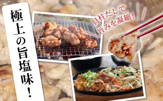 奥三河どり使用！ 田口塩鶏 味付け むね肉 500g (250g×２）塩ダレ 味付け肉 ムネ肉 鶏 肉 キャンプ バーベキュー 味付け肉 大容量 手軽 焼くだけ 地鶏 焼肉 焼き鳥　-175