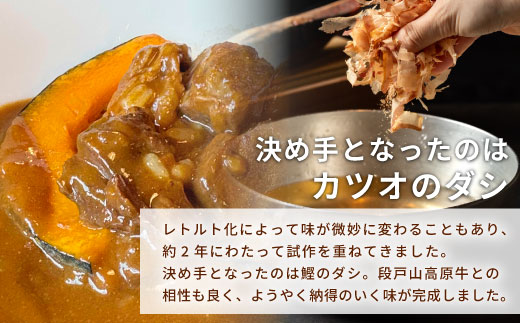 お肉ごろっと入った！たけうち牧場のビーフカレー お試し 1個 国産牛 ご当地カレー カレー 中辛 ブランド牛カレー レトルトカレー スパイス 段戸牛カレー  -217