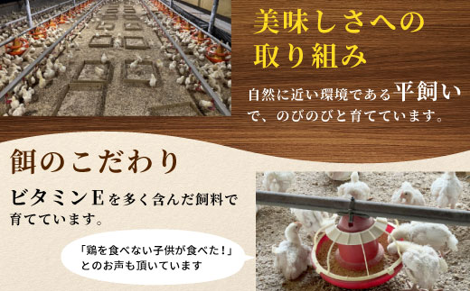 レンチンで簡単調理！ 特大！ジューシー！奥三河どり もも肉 から揚げ １袋 500g 鶏肉 もも肉 旨み ジューシー 老舗 冷凍 加熱済 温めるだけ 簡単 便利 自然解凍 弁当 おかず 惣菜 食品 おつまみ グルメ お取り寄せ 唐揚げ お肉 肉 揚げ物 -328