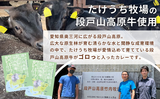お肉ごろっと入った！たけうち牧場のビーフカレー お試し 1個 国産牛 ご当地カレー カレー 中辛 ブランド牛カレー レトルトカレー スパイス 段戸牛カレー  -217