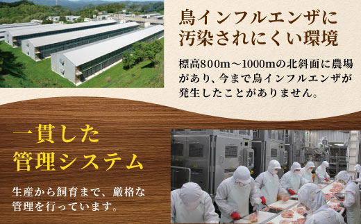 《３営業日以内に発送！》愛知県産 銘柄鶏 奥三河どり 手羽元 ２Ｋｇ 手羽 国産 冷凍 生 鶏肉 唐揚げ 煮物 チキン クリスマス パーティー バーベキュー BBQ アウトドア キャンプ チキン 鶏肉 鶏 平飼い -285