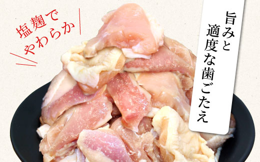 奥三河どり使用！ 田口塩鶏 味付け もも肉 500g (250g×2）塩ダレ 味付け肉 鶏肉 鶏 肉 キャンプ バーベキュー 味付け肉 大容量 手軽 焼くだけ 地鶏 焼肉 焼き鳥　-173
