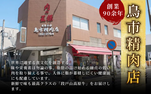 国産牛 酒粕育ち 幻の牛 段戸山高原牛 ロース肉スライス (すき焼き・しゃぶ用) 750g ロース スライス 国産牛 牛肉 蓬莱泉 -078