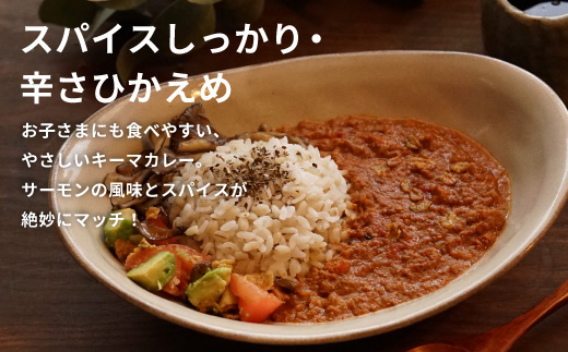 絹姫サーモン 奥三河おさかなキーマカレー ６個セット カレー ご当地カレー レトルトカレー 珍しいカレー 魚カレー 魚 サーモン サーモンカレー レトルトカレー インスタントカレー 鮭 常温 食品 非常食 贈り物 キーマカレー 道の駅 したら 設楽町 -009
