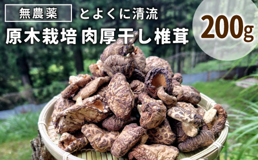 無農薬 原木栽培 肉厚 とよくに清流 ほししいたけ 200ｇ しいたけ 椎茸 シイタケ 原木椎茸 野菜 きのこ 無農薬栽培 干ししいたけ 乾燥しいたけ 干し椎茸 バーベキュー -017