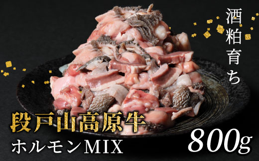 国産牛 段戸山高原牛 ホルモンMIX 800g もつ鍋 焼肉用 ホルモン ホルモン焼き もつ鍋 焼肉 BBQ キャンプ 肉 鉄板焼き -190