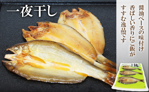 国産 あゆ一夜干し 3尾 鮎 一夜干し 魚 愛知県 設楽町産 干物 川魚 つまみ おつまみ 酒の肴 特選 -219