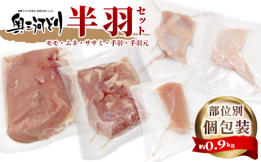 愛知県産 銘柄鶏 奥三河どり 半羽 小分け 個包装 約0.9ｋｇ 鶏肉セット 冷凍 生 生鶏 チキン クリスマス パーティー バーベキュー BBQ アウトドア キャンプ ダッチオーブン チキン 鶏肉 鶏 高品質 平飼い -214