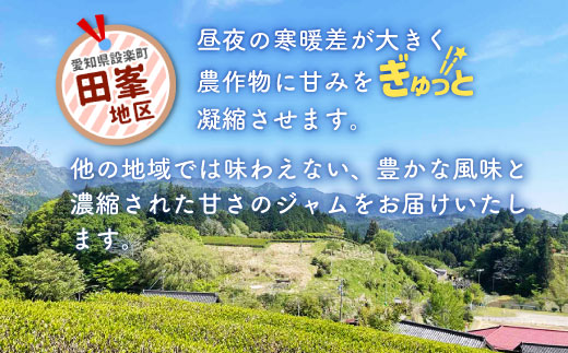田峯手作りジャム 5個セット すもも 梅 ブルーベリー ゆず マーマレード ジャム 手作り 詰め合わせ -021
