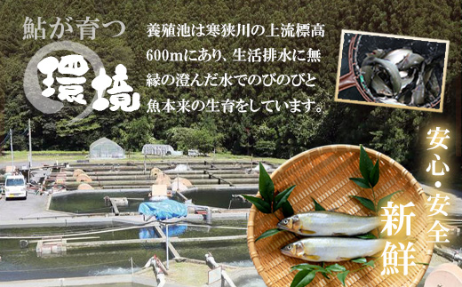 鬪ィ縺セ縺ァ譟斐i縺九>シ魄弱ョ逕倬愆辣ョ 6蟆セ (2蟆セテ3繝代ャ繧ッ) 魄 逕倬愆辣ョ 諠」闖 鬲 鬲壻サ 縺ゅf 繧「繝ヲ 蟶ク貂ゥ 辣ョ迚ゥ 縺翫▽縺セ縺ソ -340