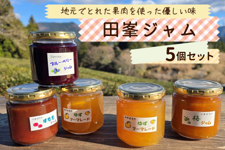 田峯手作りジャム 5個セット すもも 梅 ブルーベリー ゆず マーマレード ジャム 手作り 詰め合わせ -021