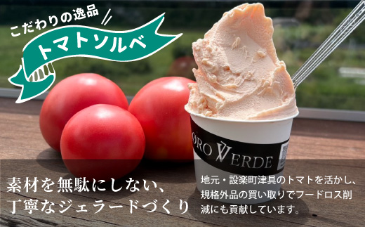 生ジェラート アソート 6個 Cセット トマトソルベ ミルク 抹茶 オーロヴェルデ カップアイス アイス スイーツ デザート 設楽町 -320