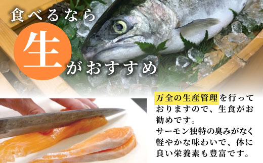 国産サーモン 生食可 無添加 絹姫サーモン カット 200g（100g×2) スペシャルトラウトサーモン 冷凍フィーレトラウトサーモン 鮭 魚 刺身 お刺身 ご当地 天然 産地直送 川育ち 味付けなし 魚介 魚介類 -120