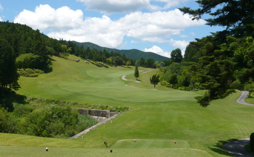 名倉カントリークラブ ゴルフ 利用券 3000円分 ゴルフ場 スポーツ