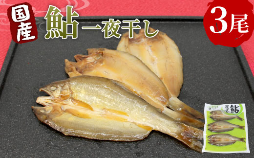 国産 あゆ一夜干し 3尾 鮎 一夜干し 魚 愛知県 設楽町産 干物 川魚 つまみ おつまみ 酒の肴 特選 -219