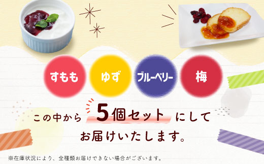 田峯手作りジャム 5個セット すもも 梅 ブルーベリー ゆず マーマレード ジャム 手作り 詰め合わせ -021