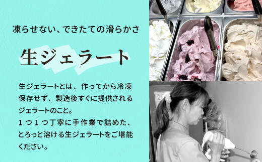 çãžã§ã©ãŒã ã¢ãœãŒã 12å Hã»ãã ããããœã«ã ãã«ã¯ ã»ããè¶ æ¹è¶ ã¢ãŒã«ã°ã¬ã€ãã£ã©ã¡ã« ã¹ããããªãŒ ãªãŒããŽã§ã«ã ã«ããã¢ã€ã¹ ã¢ã€ã¹ ã¹ãŒã ãžã§ã©ãŒã ã€ã¿ãªã¢ èšæ¥œçº -325