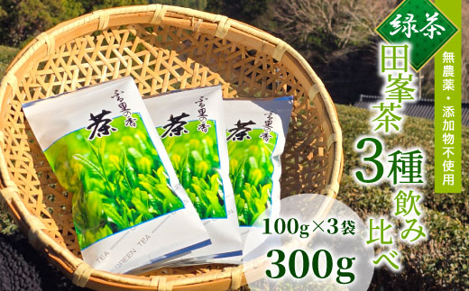 「田峯茶」飲み比べセット 100g×3袋（緑茶・茶葉） -031