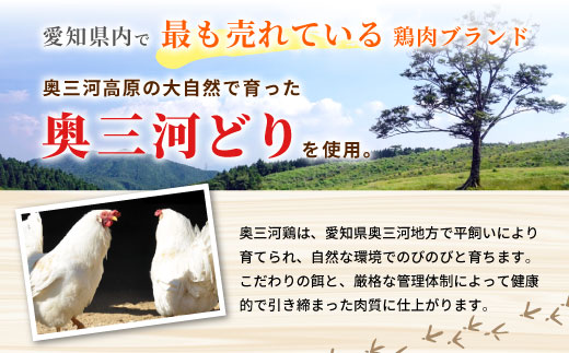 奥三河どり使用！ 田口塩鶏 味付け むね肉 500g (250g×２）塩ダレ 味付け肉 ムネ肉 鶏 肉 キャンプ バーベキュー 味付け肉 大容量 手軽 焼くだけ 地鶏 焼肉 焼き鳥　-175