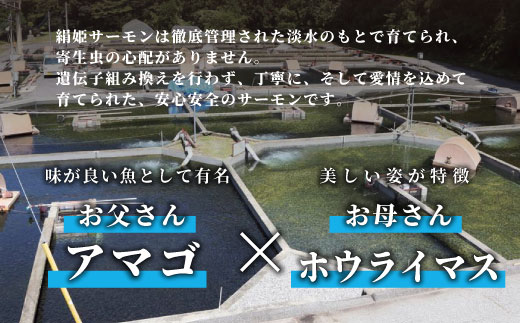国産サーモン 生食可 絹姫サーモン 冷凍フィーレ 1枚 (300g〜400g) サーモン スペシャルトラウト トラウトサーモン 鮭 魚 刺身 お刺身 無添加 絹姫 ブランド マス アマゴ ご当地 天然 産地直送 川育ち 味付けなし 魚介 魚介類 -033