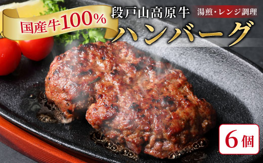 国産 牛肉 100% ハンバーグ レンジ可 湯煎 加熱済 6個 個包装 100ｇ 国産牛 牛 着色料 保存料 化学調味料 不使用 牛肉ハンバーグ 肉 肉汁 -095