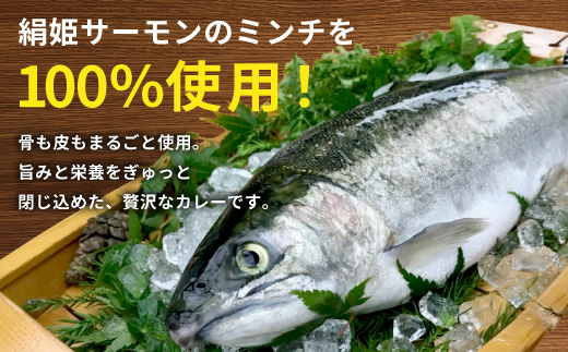 絹姫サーモン 奥三河おさかなキーマカレー ６個セット カレー ご当地カレー レトルトカレー 珍しいカレー 魚カレー 魚 サーモン サーモンカレー レトルトカレー インスタントカレー 鮭 常温 食品 非常食 贈り物 キーマカレー 道の駅 したら 設楽町 -009