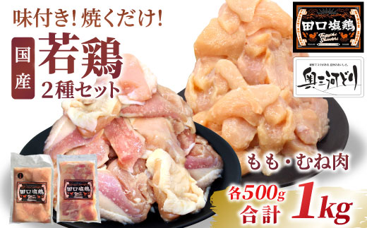 奥三河どり使用！ 田口塩鶏 国産 若鶏味付け肉 2種セット 1kg（もも肉250g×2・むね肉250g×2）もも肉 むね肉 塩ダレ 味付け肉 鶏肉 鶏 肉 キャンプ バーベキュー 味付け肉 大容量 手軽 焼くだけ 地鶏 焼肉 焼き鳥 -170