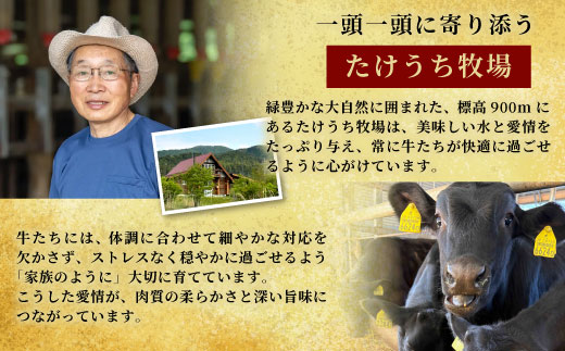 国産牛 酒粕育ち  段戸山高原牛 モモブロック 250g 国産牛 牛肉 モモブロック もも肉 ローストビーフ ステーキ ブロック肉 蓬莱泉 非加熱 -083