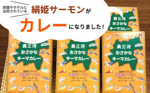 絹姫サーモン 奥三河おさかなキーマカレー ６個セット カレー ご当地カレー レトルトカレー 珍しいカレー 魚カレー 魚 サーモン サーモンカレー レトルトカレー インスタントカレー 鮭 常温 食品 非常食 贈り物 キーマカレー 道の駅 したら 設楽町 -009