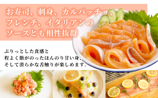 国産サーモン 生食可 絹姫サーモン 冷凍フィーレ 1枚 (300g〜400g) サーモン スペシャルトラウト トラウトサーモン 鮭 魚 刺身 お刺身 無添加 絹姫 ブランド マス アマゴ ご当地 天然 産地直送 川育ち 味付けなし 魚介 魚介類 -033