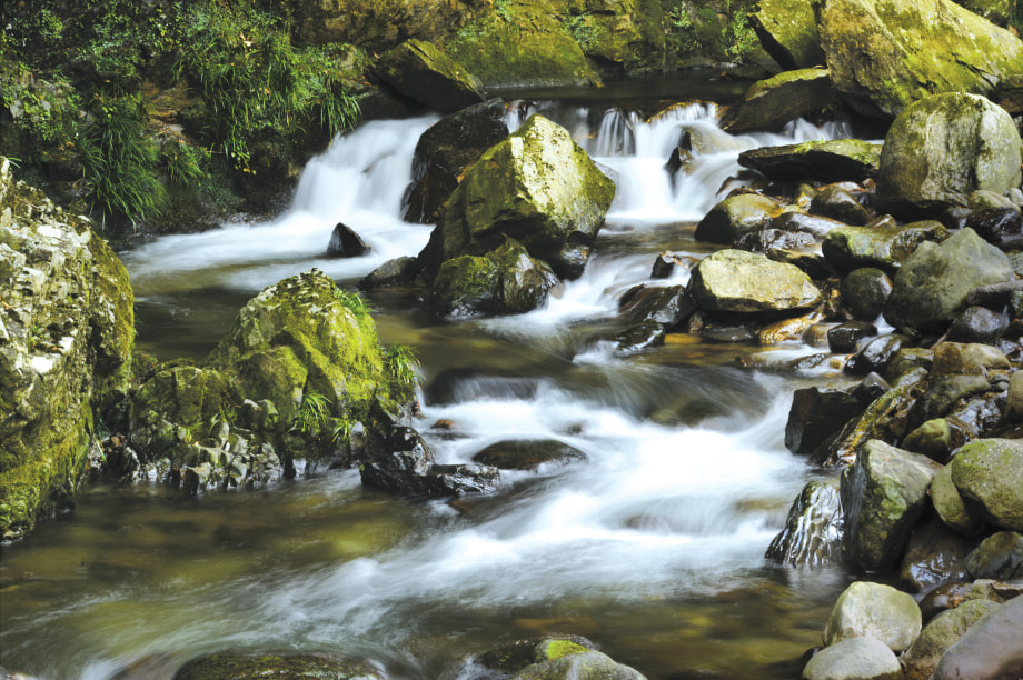 環境共生に関する事業