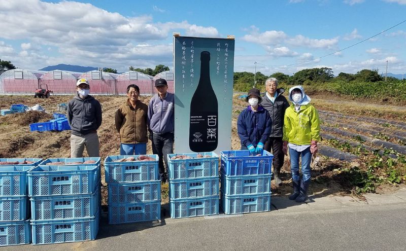 本格芋焼酎 百菜 720ml 2本 [ さつまいも サツマイモ 芋焼酎 焼酎 お酒 酒 ]