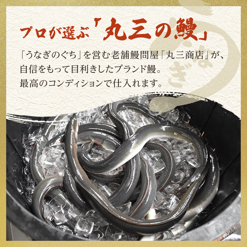 うなぎ 国産 手焼き蒲焼カット6枚セット[うなぎ蒲焼き 炭火焼 たれ 鰻 蒲焼 鰻蒲焼 ウナギ ギフト 贈り物 うな丼 鰻丼 グルメ ご褒美 簡単調理 冷凍 真空 丑の日]