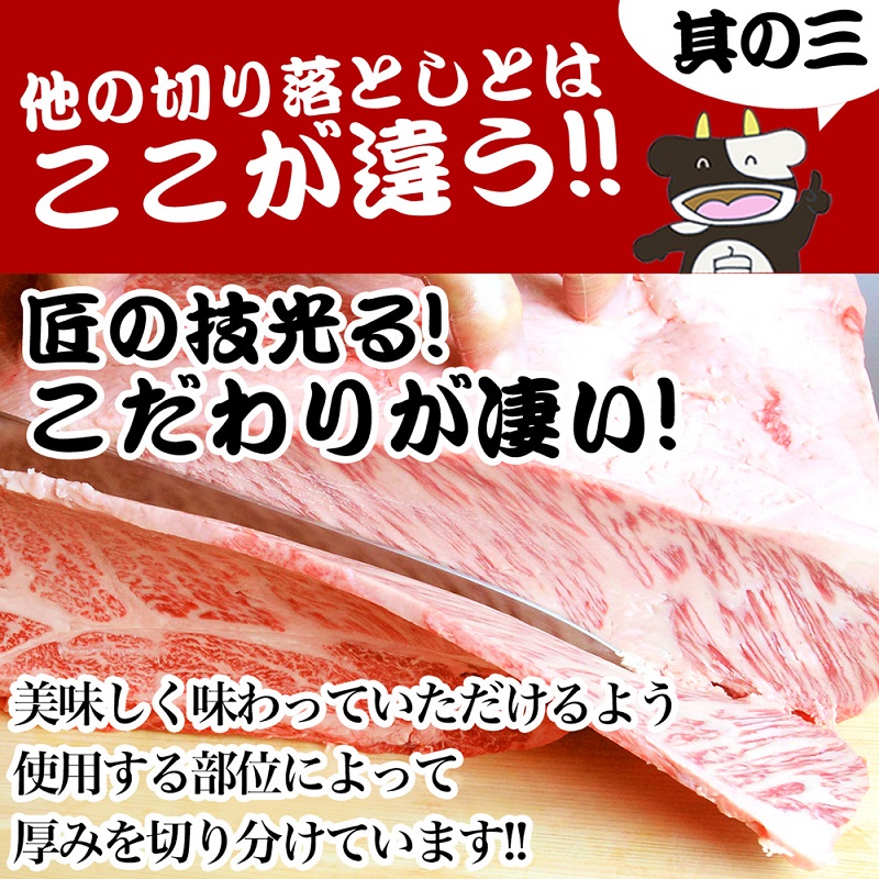 【1/5以降順次発送】松阪牛 切り落とし (500g×2) 牛肉 松阪牛 高級 和牛 焼肉 BBQ バーベキュー 牛 松阪牛肉 ブランド牛 黒毛和牛 松阪 人気 自宅用 グルメ お取り寄せ 日本三大和牛 誕生日 お祝い ご馳走 パーティー 贅沢 松良 
