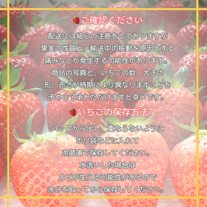 三重県産いちご 「かおり野」 8P [ 250g×8パック 2kg 三重県産オリジナル品種 果物 フルーツ 苺 イチゴ 人気 果肉かため 甘味強く酸味おだやか ]