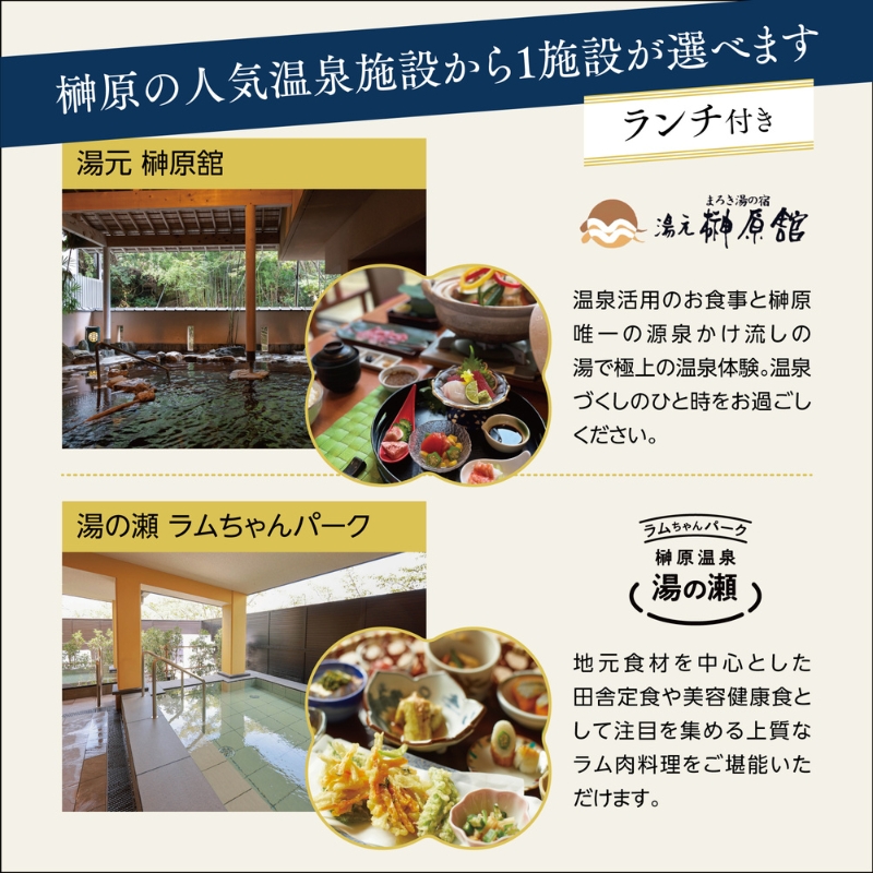 くつろぎ温泉 七栗脳ドック（榊原温泉での入浴・食事付き）【 入浴券 食事券 温泉 食事 脳ドッグ 検査 MRI 測定 】 チケット お食事券 温泉利用券 