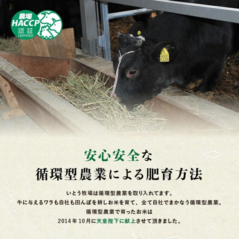 A5等級 松阪牛 カルビ 1000g