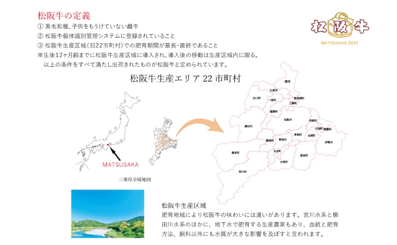 松阪牛100%ハンバーグ 140g×6個 [ 牛肉 松阪牛 高級 和牛 個包装 簡単 調理 牛 肉 人気 グルメ お取り寄せ 日本三大和牛 夕飯 おかず 惣菜 贅沢 ] お肉 