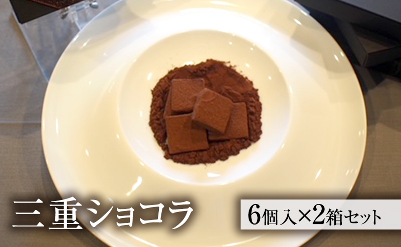 シャンピニオン生ショコラ 2箱セット [ 生チョコレート チョコレート チョコ キノコ 天然オオイチョウタケ スイーツ お菓子 お酒のおとも ご褒美 ] 