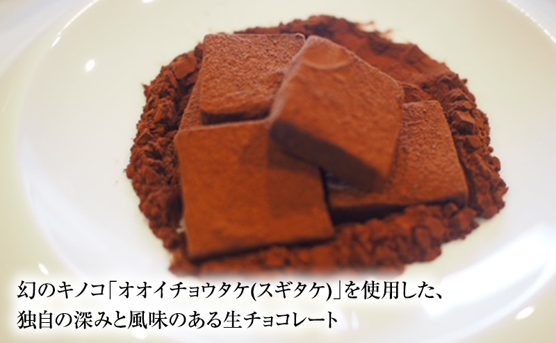 三重ショコラ 2箱セット [ 生チョコレート チョコレート チョコ キノコ 天然オオイチョウタケ スイーツ お菓子 お酒のおとも ご褒美 ]