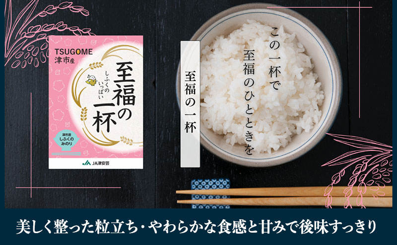 至福の一杯 5kg 令和6年産 米 お米 新米 ご飯 飯 精米 津市 三重県 新品種 しふくのみのり