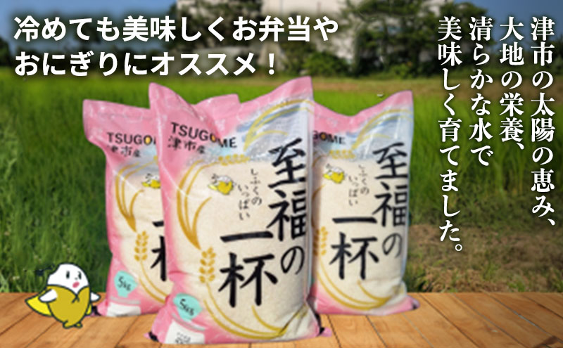 至福の一杯 5kg 令和6年産 米 お米 新米 ご飯 飯 精米 津市 三重県 新品種 しふくのみのり