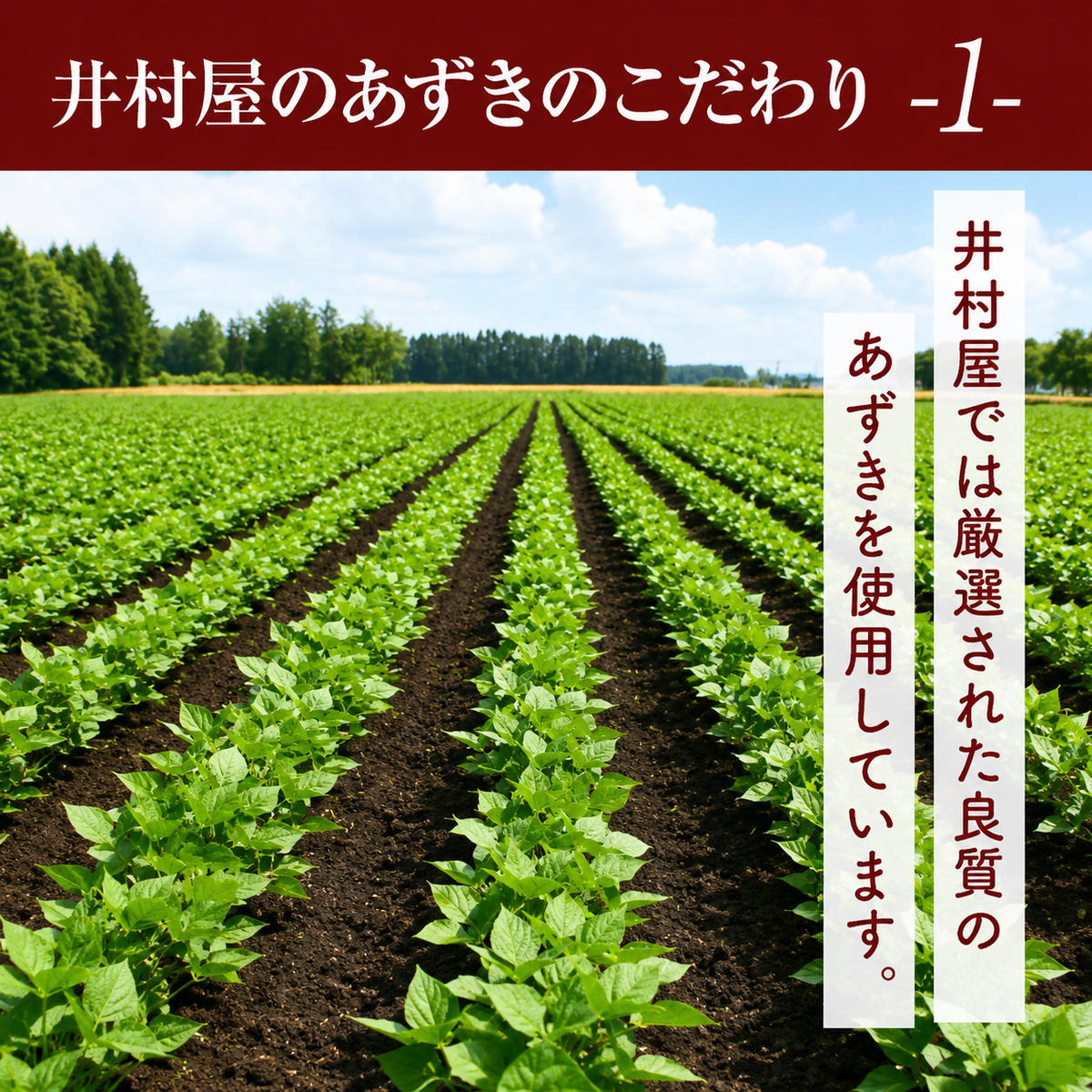 【井村屋】BOXあずきバー×あずきバーミルク 各6箱×2種類 セット [ 小豆 あずき ミルク ミルクアイス アイス アイスクリーム スイーツ デザート 和風 お菓子 詰め合わせ お楽しみ 冷凍 レトロ 人気 ]