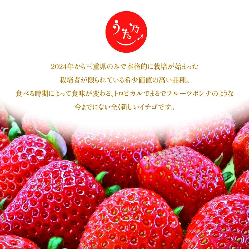 あまつおとめ イチゴ「うた乃」三重県限定品種 計500g (250g×2パック)[ 五感で楽しむ至福のいちご 果物 フルーツ 苺 イチゴ ブランド 人気 ]