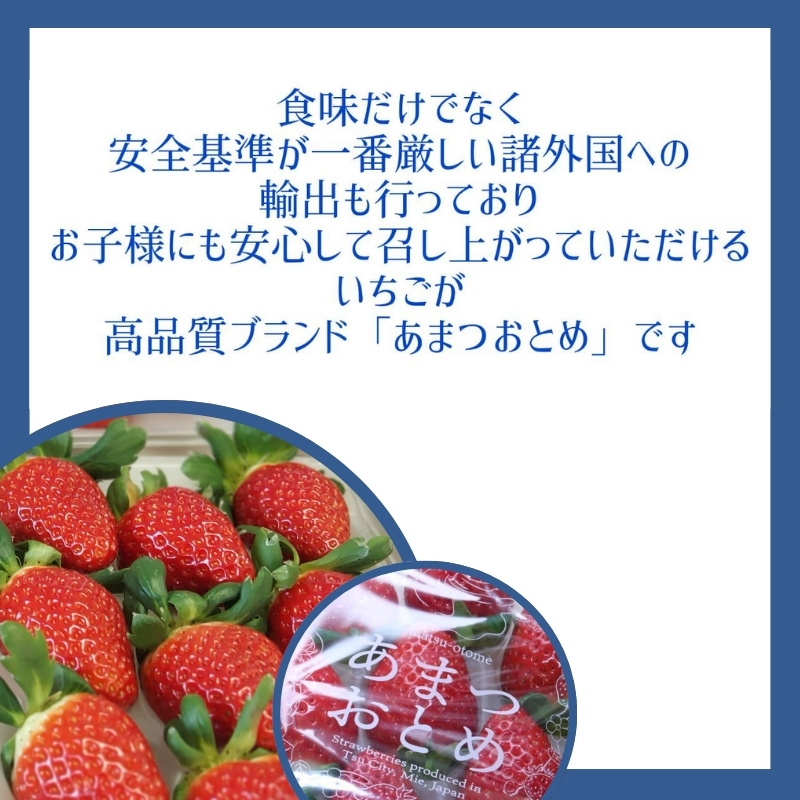 あまつおとめ イチゴ「うた乃」三重県限定品種 計500g (250g×2パック)[ 五感で楽しむ至福のいちご 果物 フルーツ 苺 イチゴ ブランド 人気 ]