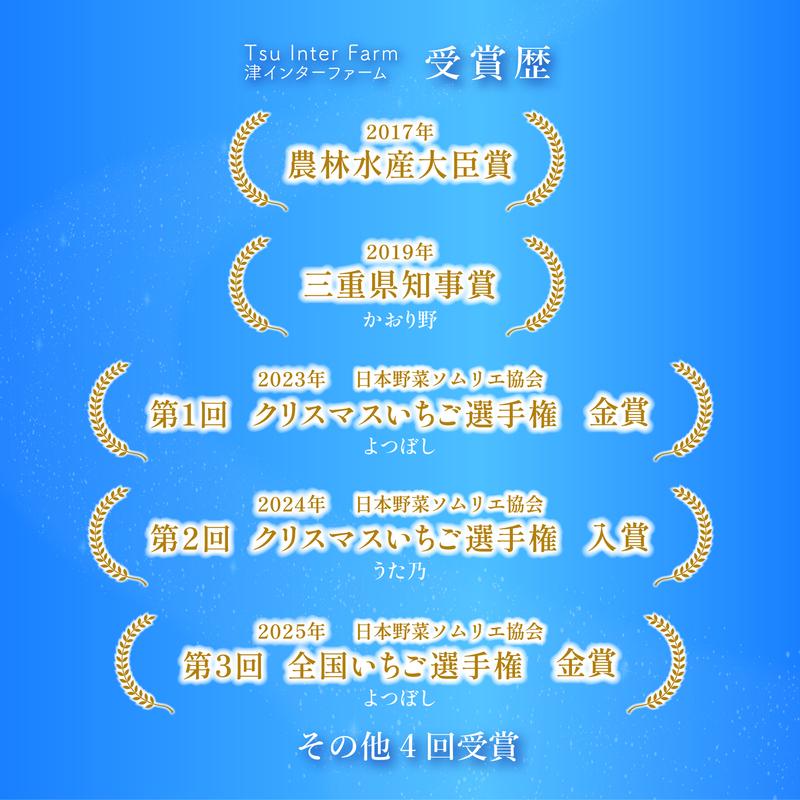 あまつおとめ イチゴ「うた乃」三重県限定品種 計500g (250g×2パック)[ 五感で楽しむ至福のいちご 果物 フルーツ 苺 イチゴ ブランド 人気 ]
