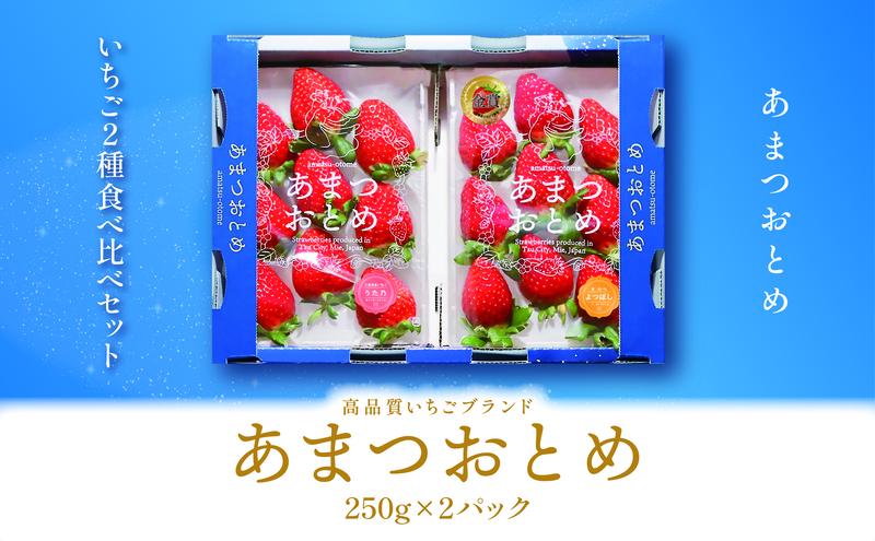 あまつおとめ いちご 2品種 食べ比べセット 計500g (250g×2パック)[ 五感で楽しむ至福のいちご よつぼし かおり野 スターナイト うた乃 ほしうらら 果物 フルーツ 苺 イチゴ ブランド 詰め合わせ お楽しみ 人気 ]