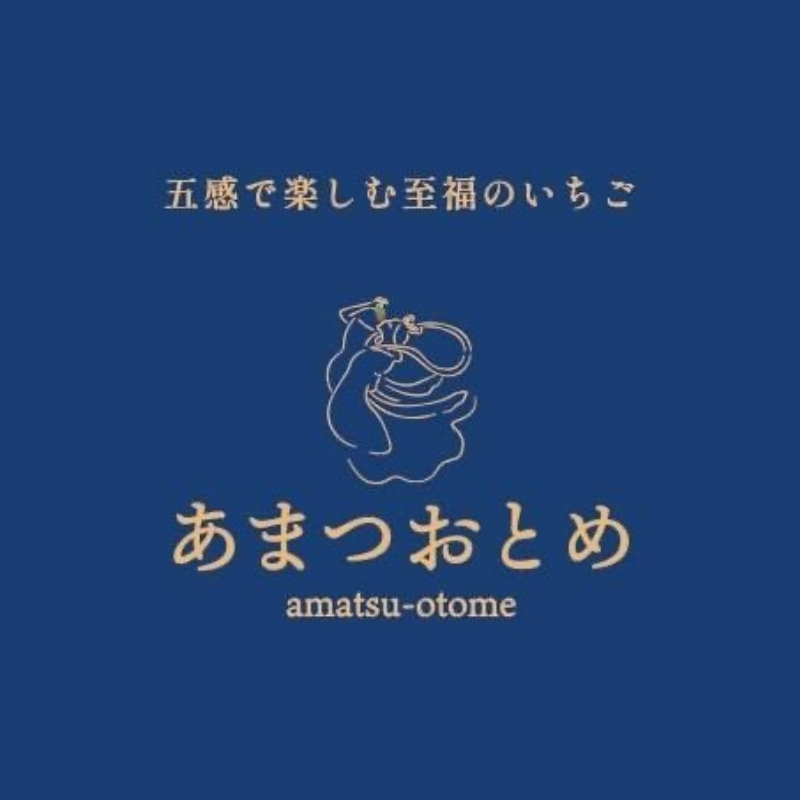 あまつおとめ いちご アソート ギフト BOX 1箱 8粒入り 250g [ 五感で楽しむ至福のいちご よつぼし かおり野 スターナイト うた乃 ほしうらら フルーツ 苺 イチゴ ] 