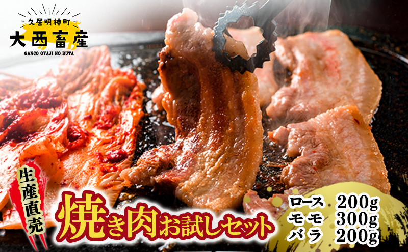 生産直売　焼き肉お試しセット | 肉 お肉 焼肉 BBQ バーベキュー 肩ロース バラ肉 モモ肉