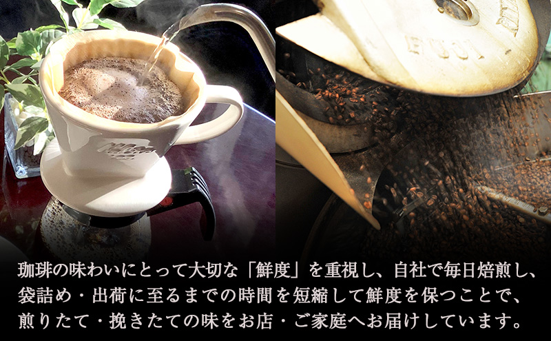 津焙煎ドリップバッグコーヒー24袋セット | 珈琲 コーヒー ドリップ カフェ 焙煎 中煎り 深煎り 中細挽き 富士珈琲